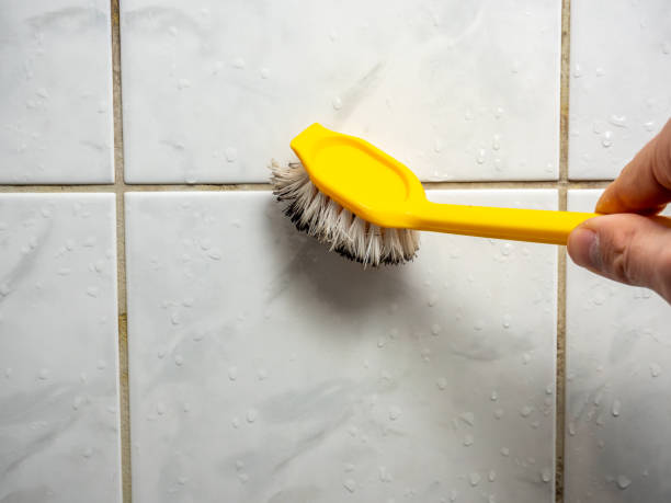 Best Mold Remediation  in Spring Lake Park, MN
